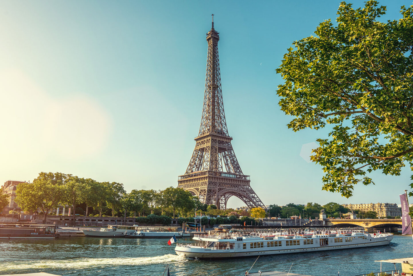 Studying medicine in France