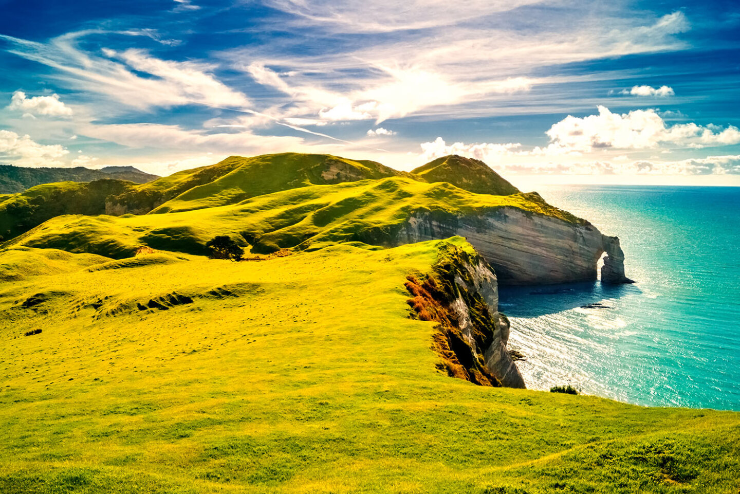 Studying medicine in Ireland