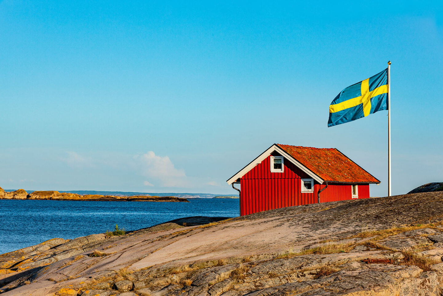 Studying medicine in Sweden