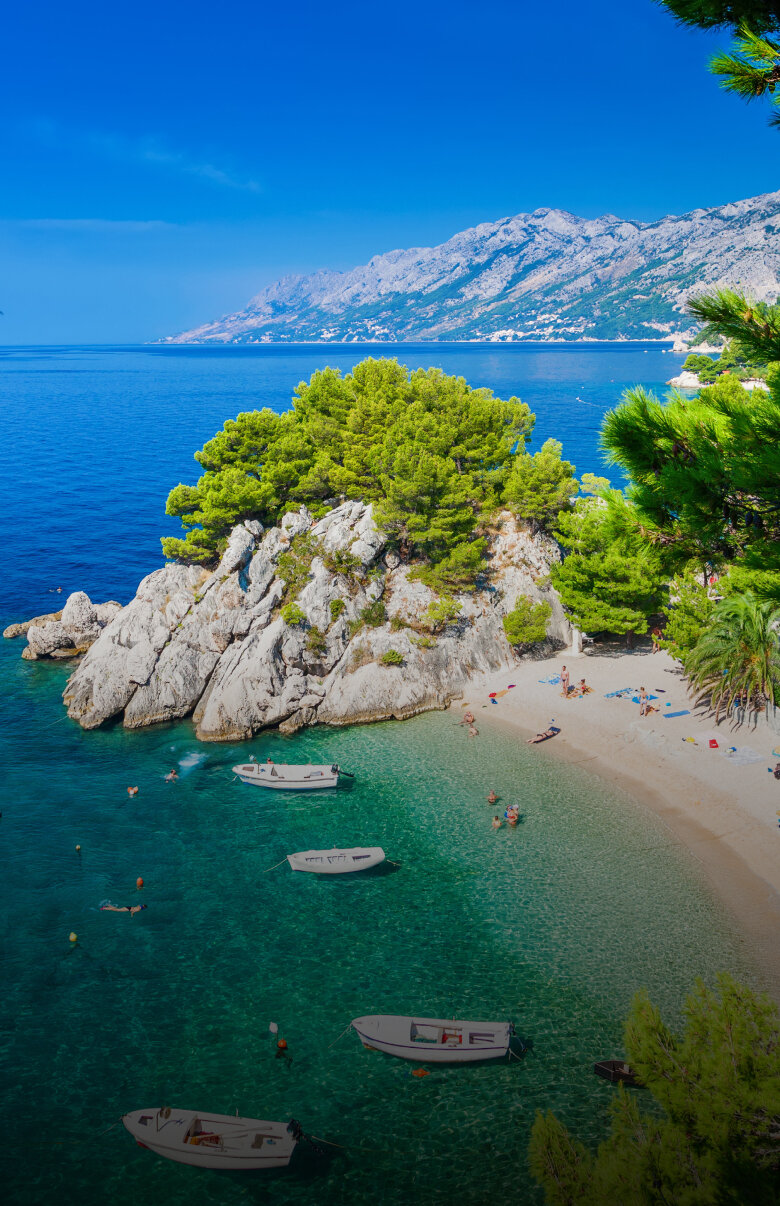 Medizinstudium in Kroatien Medizinstudium in Kroatien