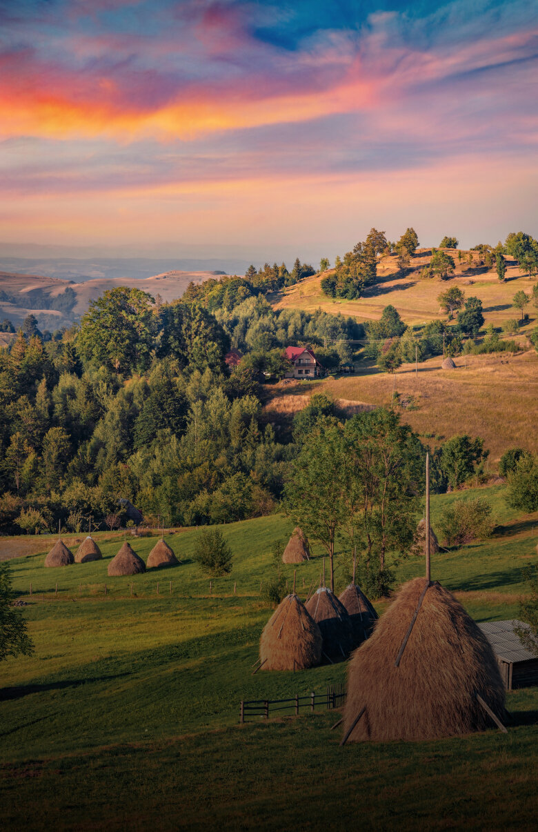 Medizinstudium in Rumänien Medizinstudium in Rumänien